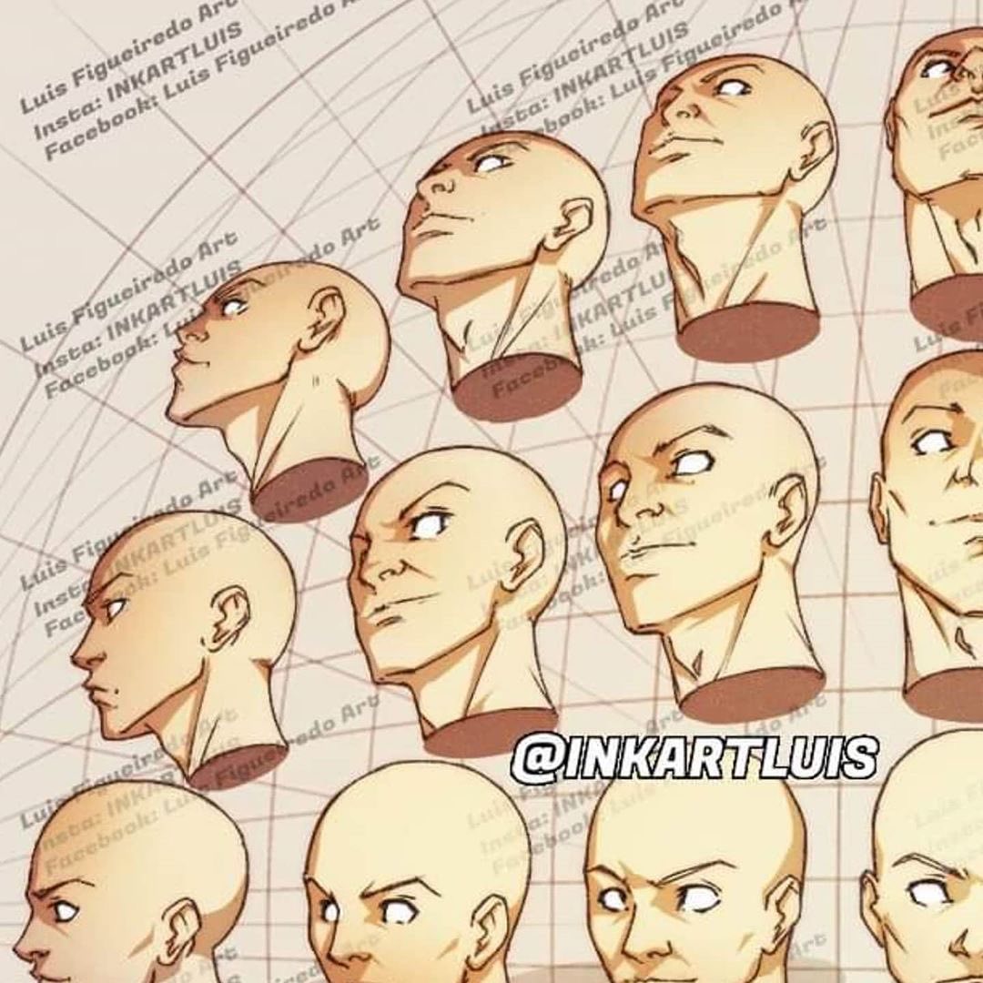 HEADS - DIFFERENT ANGLES PERSPECTIVE! 